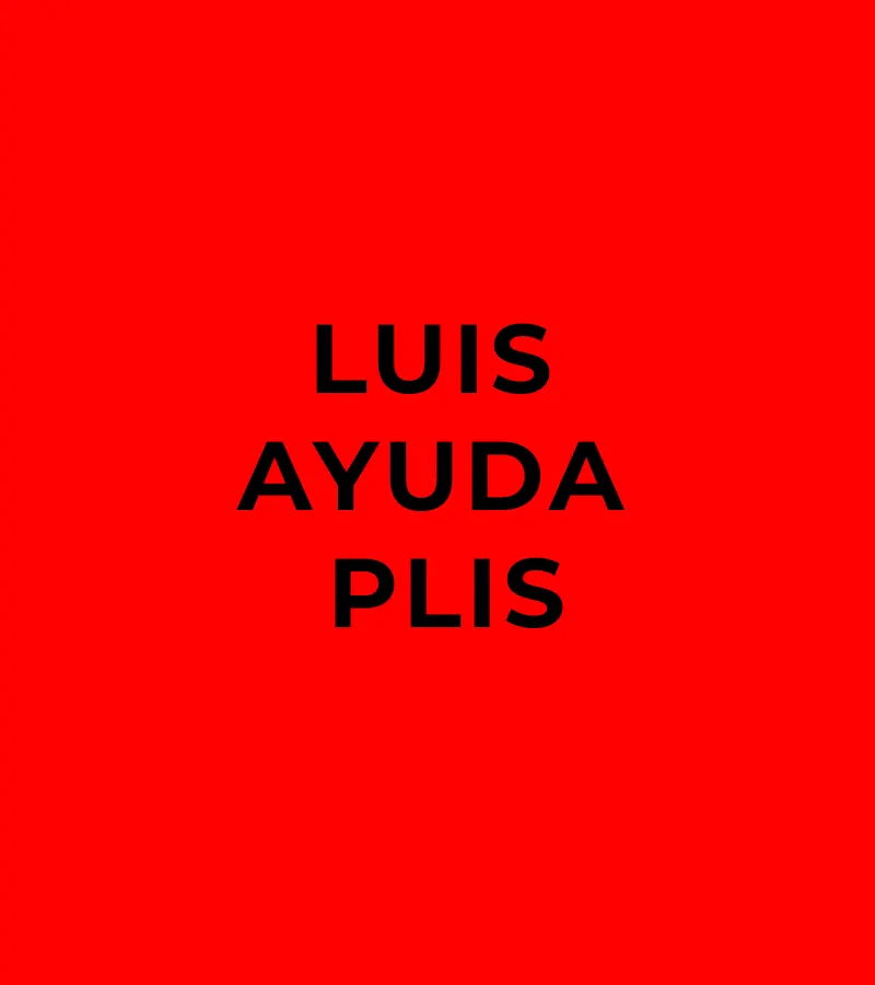 luis-auyda-plis - copia